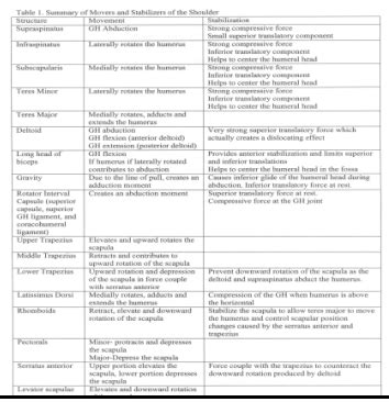 musculoskeletal quizlet